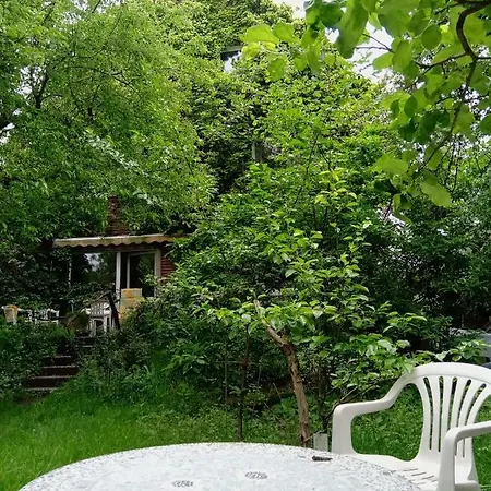 Grunes Haus Guest house *